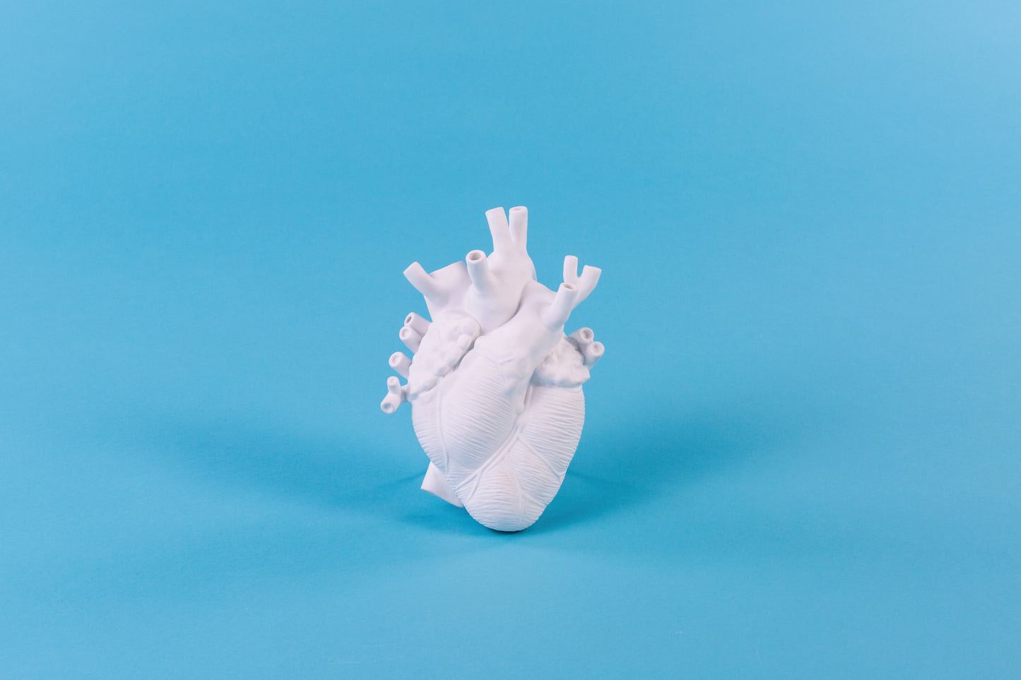 LOVE IN BLOOM - PORCELAIN HEART VASE - 09920 - WHITE