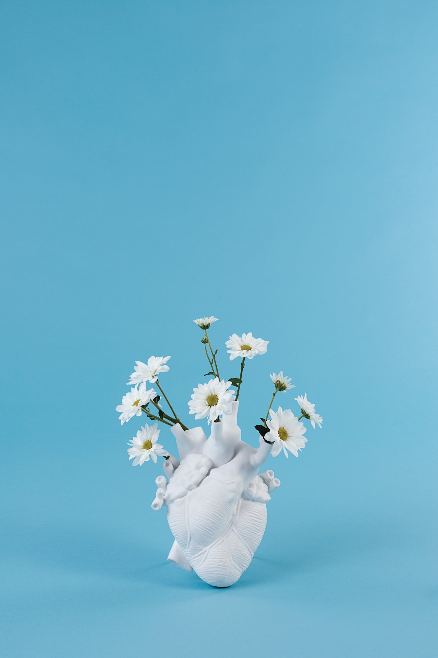 LOVE IN BLOOM - PORCELAIN HEART VASE - 09920 - WHITE